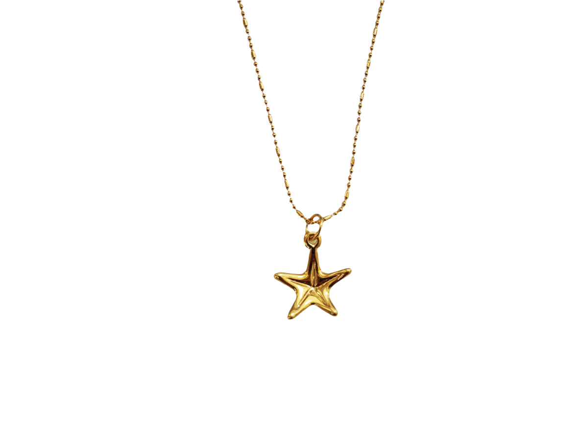 Starfish Necklace with Gold plated 22k