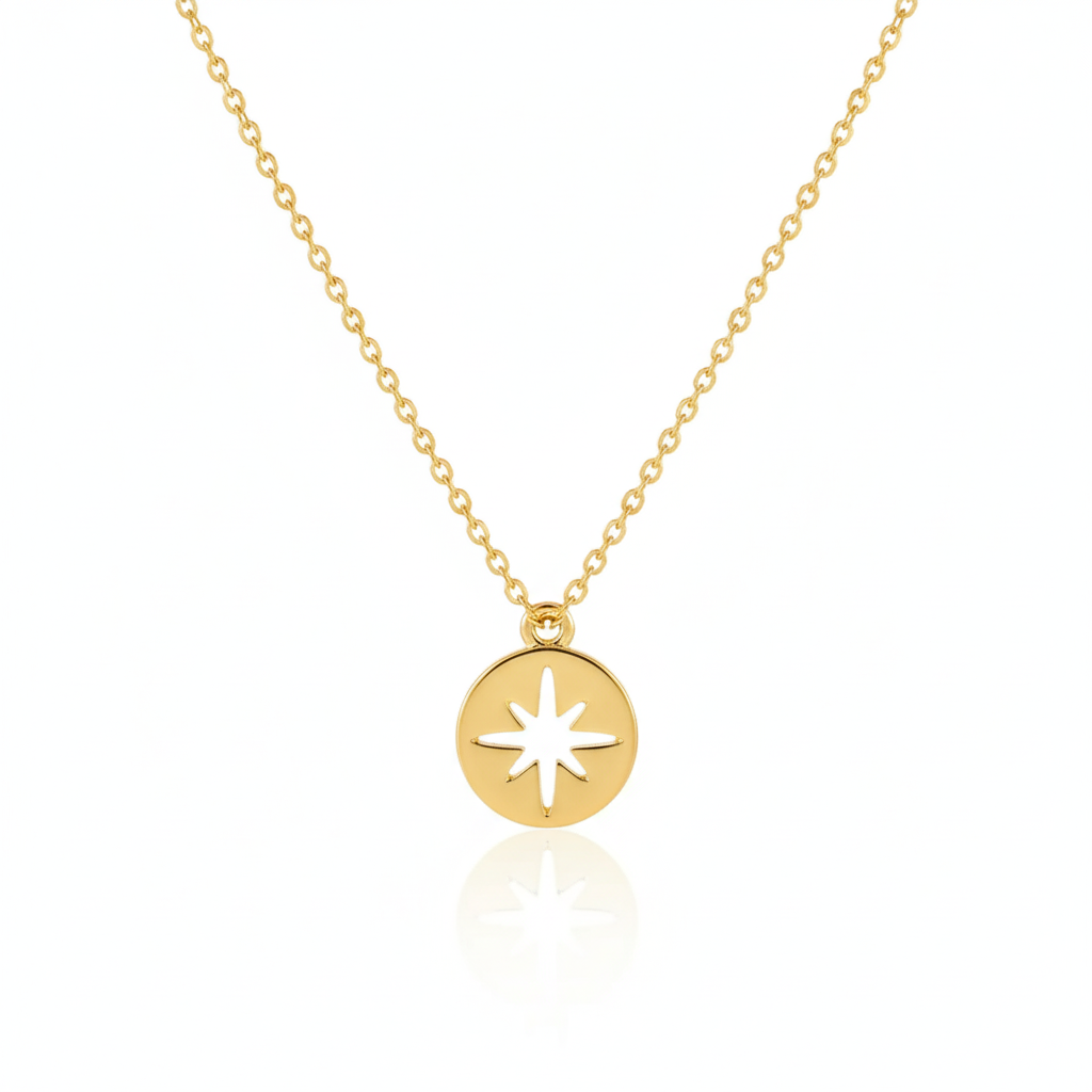 Necklace Coin star-Gold plated 22k