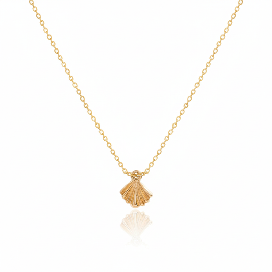 Necklace mini seashell texture-Gold plated 22k