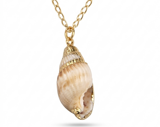 Shell Necklace – 18k Gold Plated